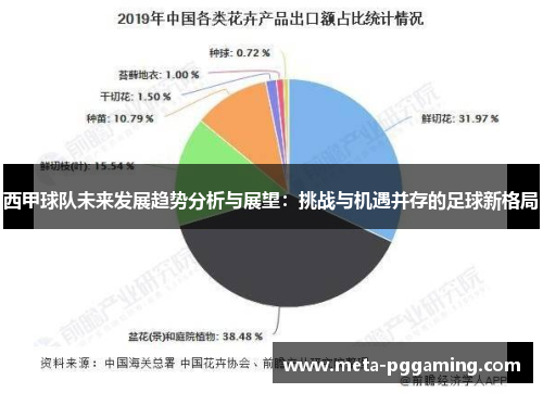 西甲球队未来发展趋势分析与展望:挑战与机遇并存的足球新格局 西甲球队未来发展趋势分析与展望:挑战与机遇并存的足球新格局