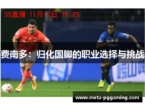 费南多：归化国脚的职业选择与挑战