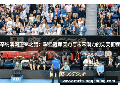 辛纳澳网卫冕之路：彰显冠军实力与未来潜力的完美征程