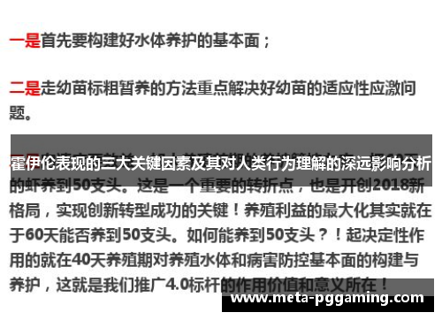 霍伊伦表现的三大关键因素及其对人类行为理解的深远影响分析 霍伊伦表现的三大关键因素及其对人类行为理解的深远影响分析