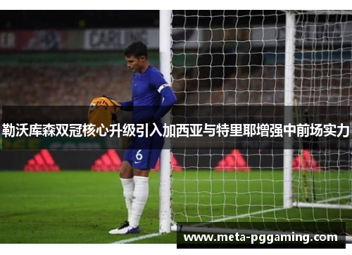 勒沃库森双冠核心升级引入加西亚与特里耶增强中前场实力